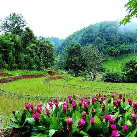 Kowitfarmstay Ban Mae Pan Noi Dış mekan fotoğraf