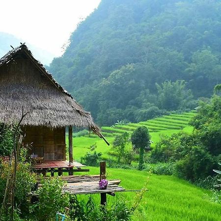 Kowitfarmstay Ban Mae Pan Noi Dış mekan fotoğraf