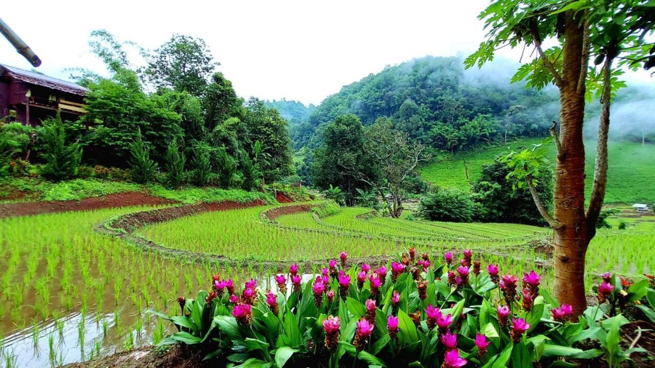 Kowitfarmstay Ban Mae Pan Noi Dış mekan fotoğraf