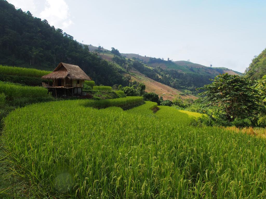 Kowitfarmstay Ban Mae Pan Noi Dış mekan fotoğraf