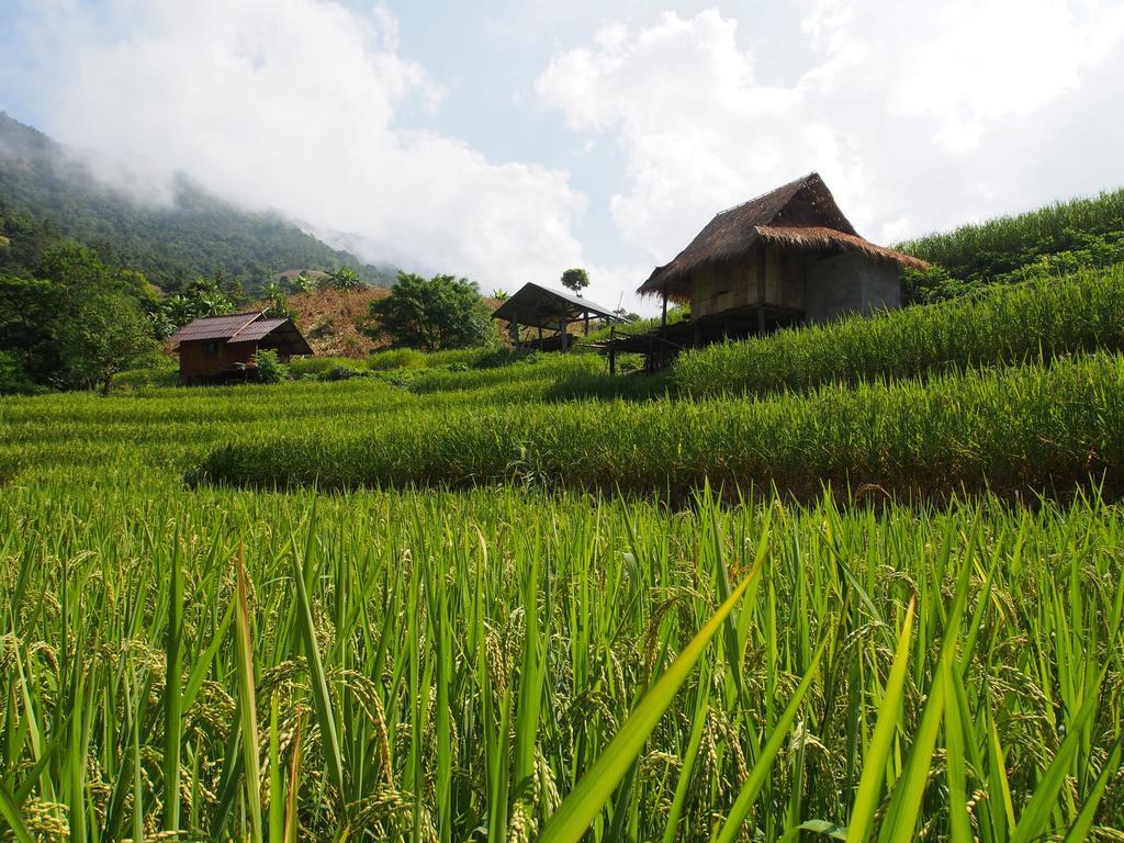 Kowitfarmstay Ban Mae Pan Noi Dış mekan fotoğraf