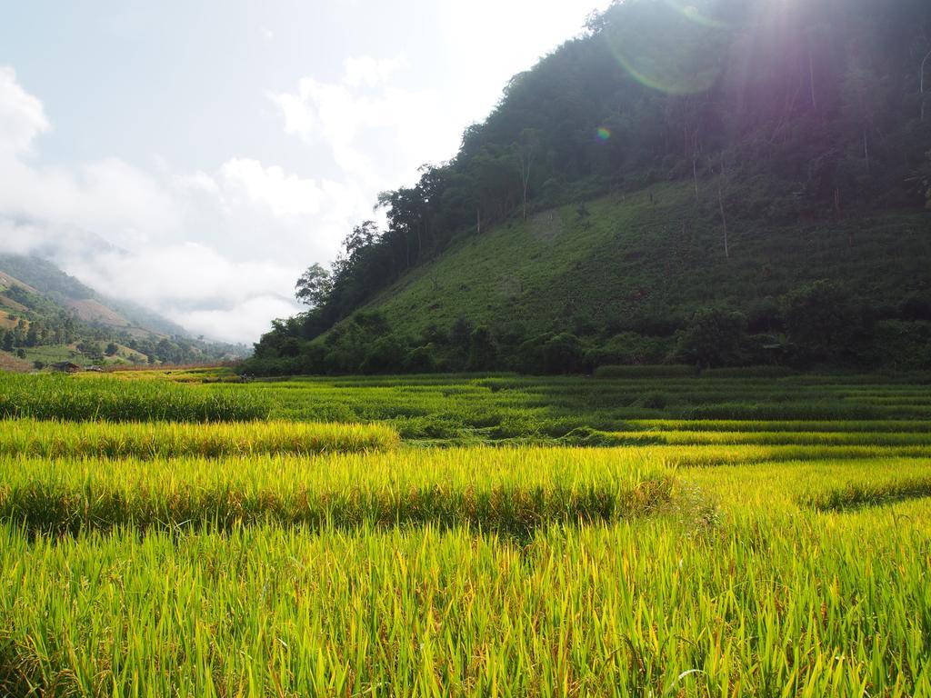 Kowitfarmstay Ban Mae Pan Noi Dış mekan fotoğraf