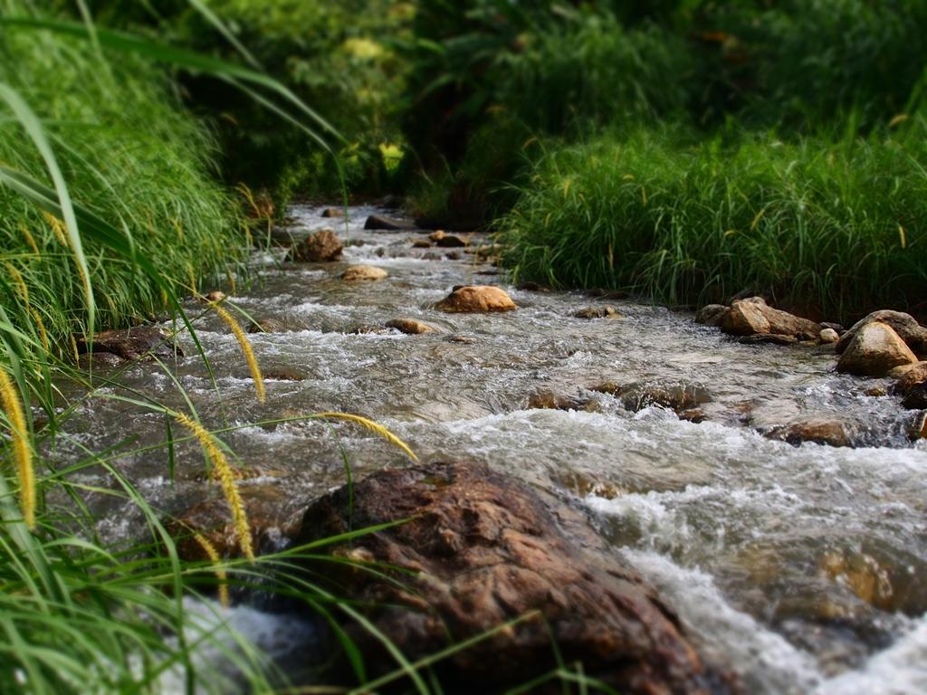 Kowitfarmstay Ban Mae Pan Noi Dış mekan fotoğraf