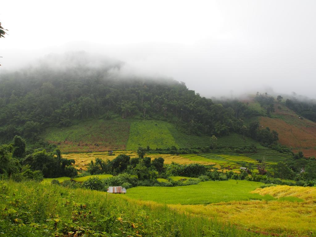 Kowitfarmstay Ban Mae Pan Noi Dış mekan fotoğraf