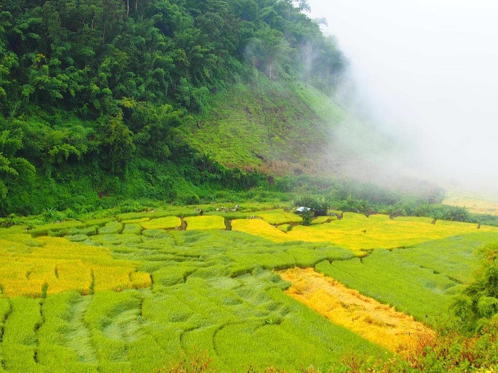 Kowitfarmstay Ban Mae Pan Noi Dış mekan fotoğraf