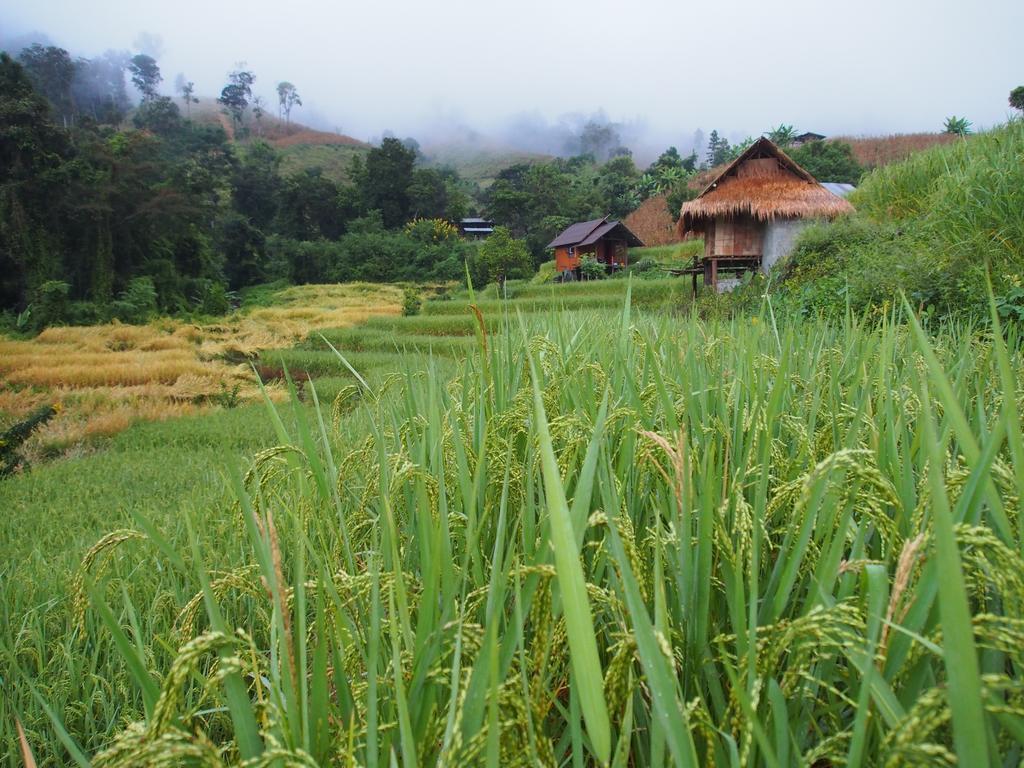 Kowitfarmstay Ban Mae Pan Noi Dış mekan fotoğraf