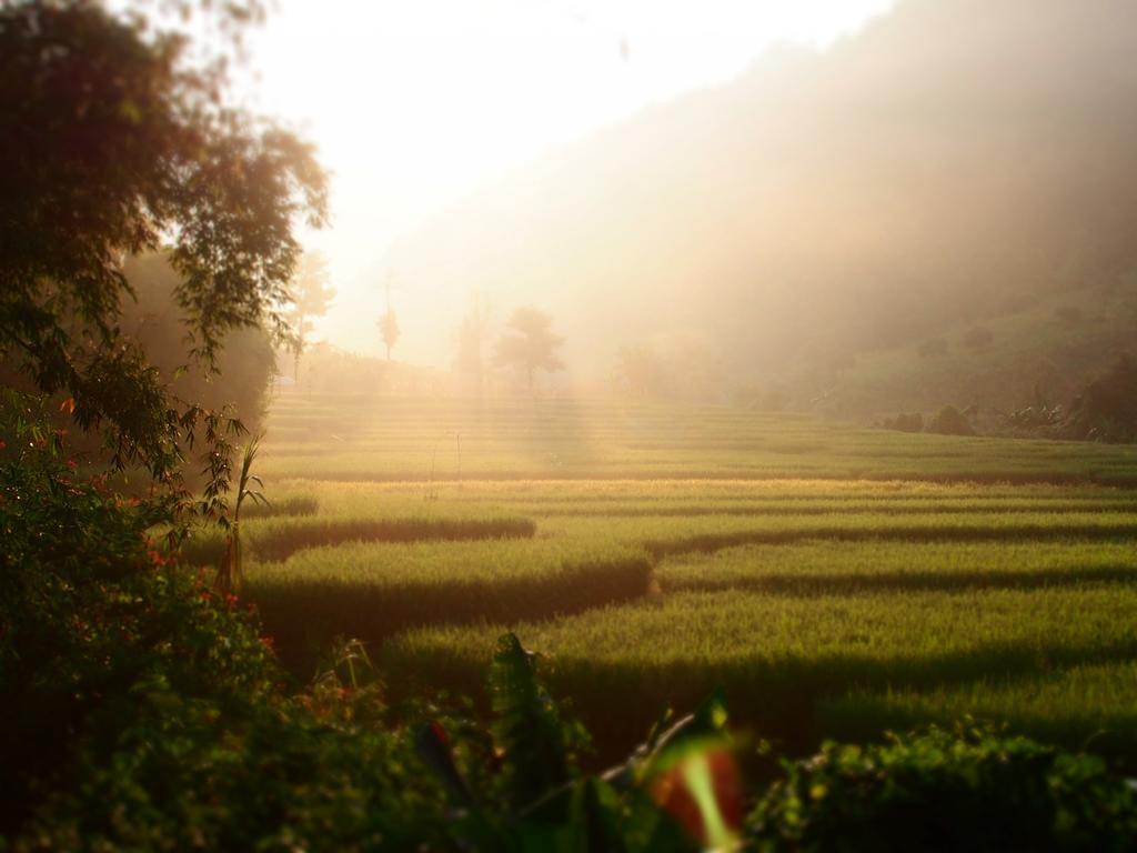 Kowitfarmstay Ban Mae Pan Noi Dış mekan fotoğraf