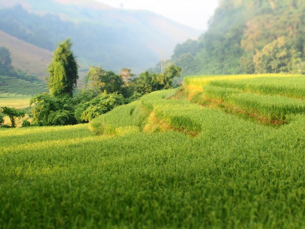 Kowitfarmstay Ban Mae Pan Noi Dış mekan fotoğraf