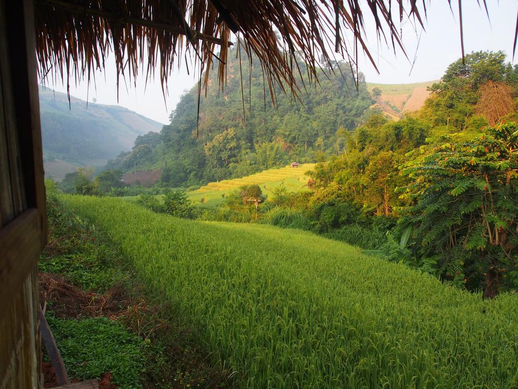 Kowitfarmstay Ban Mae Pan Noi Dış mekan fotoğraf