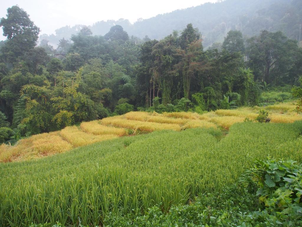 Kowitfarmstay Ban Mae Pan Noi Dış mekan fotoğraf