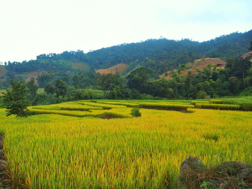 Kowitfarmstay Ban Mae Pan Noi Dış mekan fotoğraf