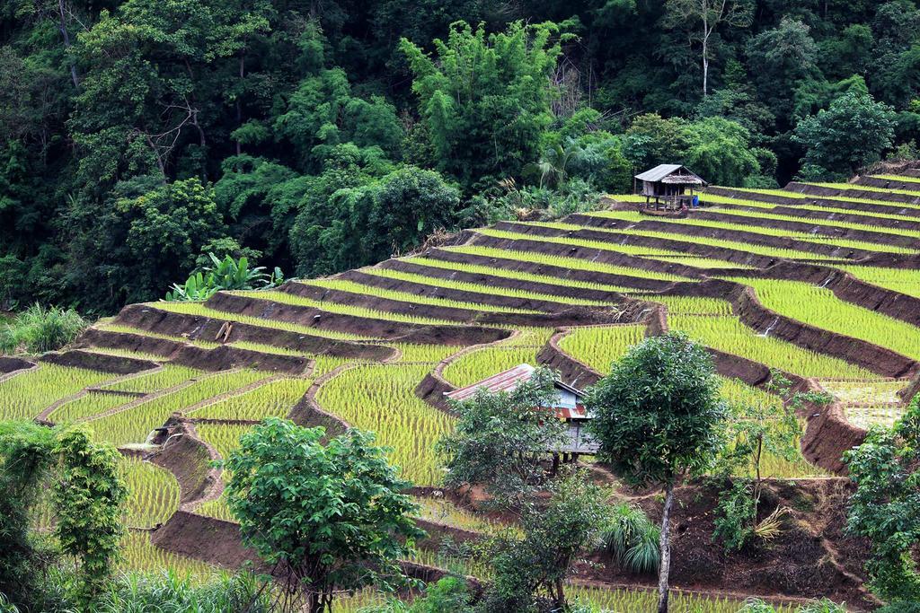 Kowitfarmstay Ban Mae Pan Noi Dış mekan fotoğraf