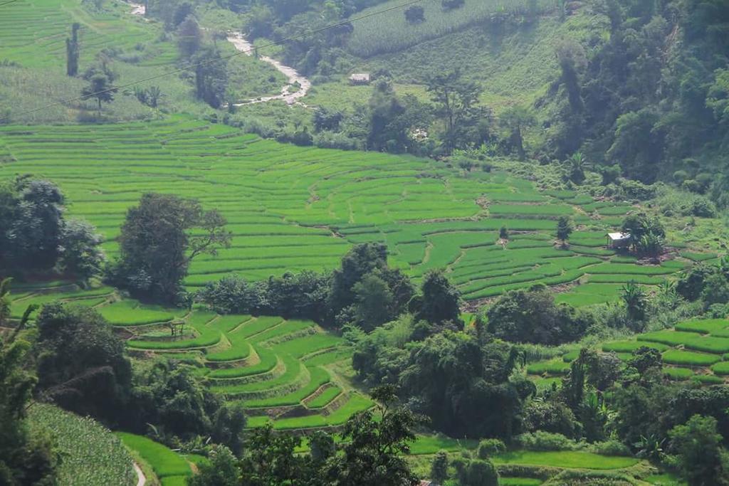 Kowitfarmstay Ban Mae Pan Noi Dış mekan fotoğraf