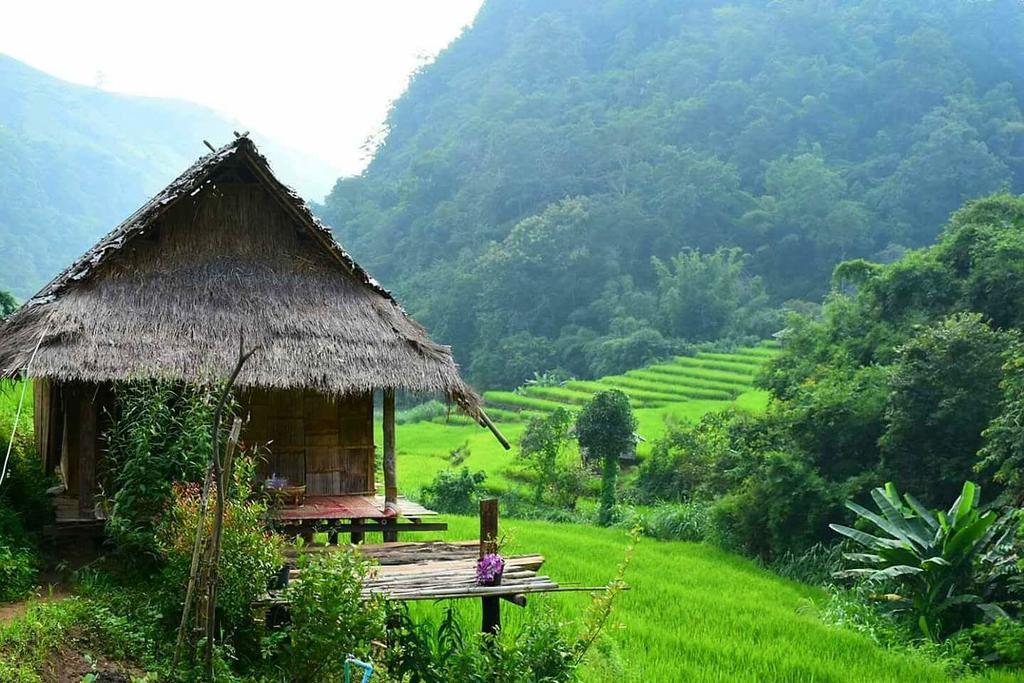 Kowitfarmstay Ban Mae Pan Noi Dış mekan fotoğraf
