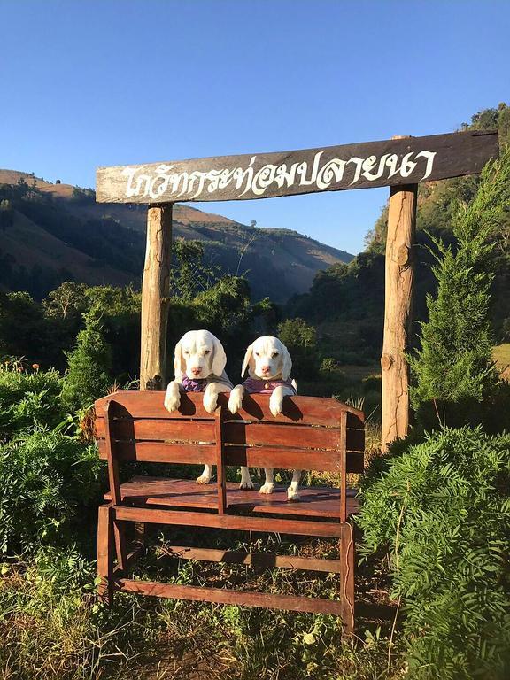 Kowitfarmstay Ban Mae Pan Noi Dış mekan fotoğraf