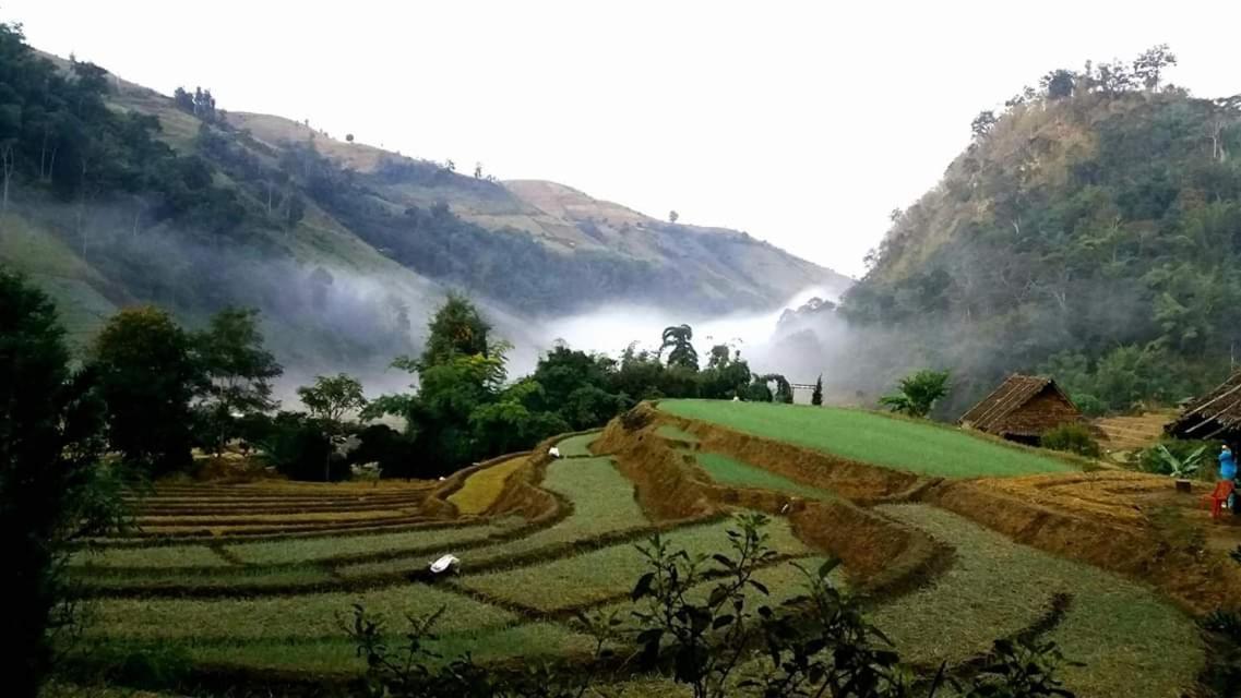 Kowitfarmstay Ban Mae Pan Noi Dış mekan fotoğraf